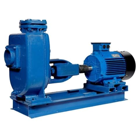 10 hp centrifugal pump specifications|10 hp pump discharge capacity.